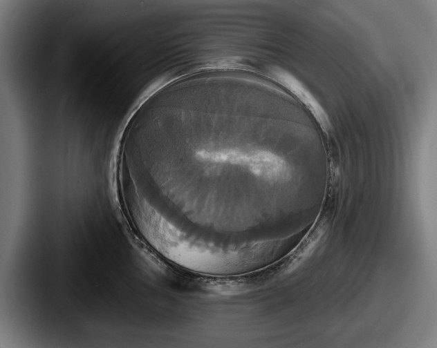 X0000087701002200705111400