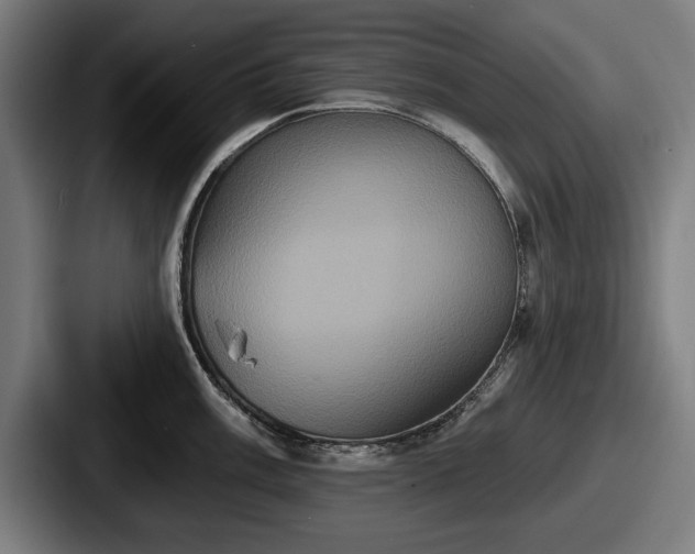 X0000087701003200705111400