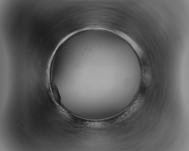 X0000087701004200705111400