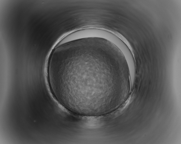 X0000087701005200705111400