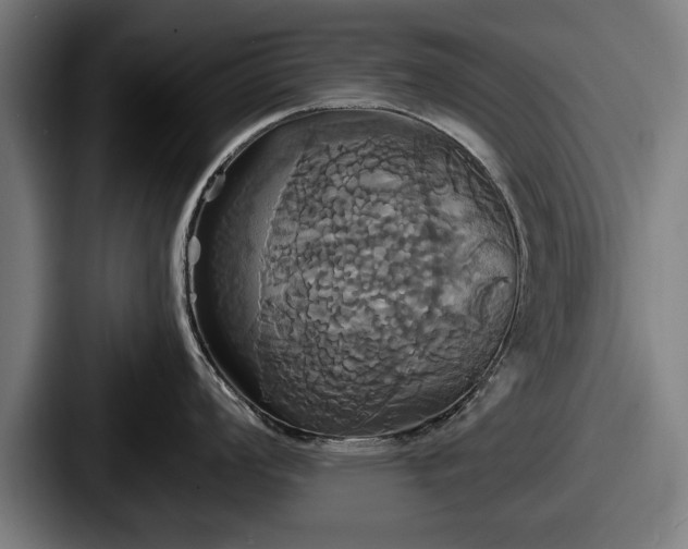 X0000087701008200705111400