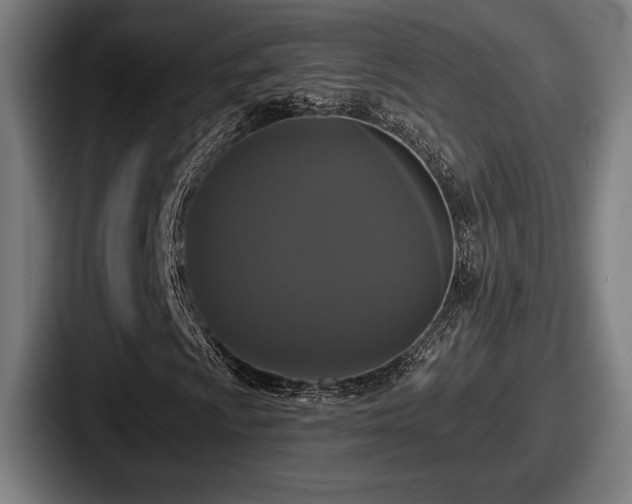 X0000087701009200705111359