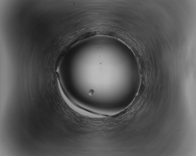 X0000087701010200705111359