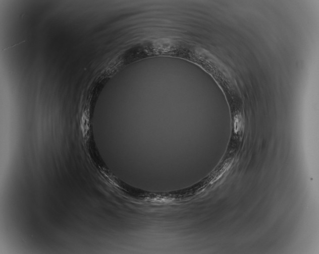 X0000087701011200705111359