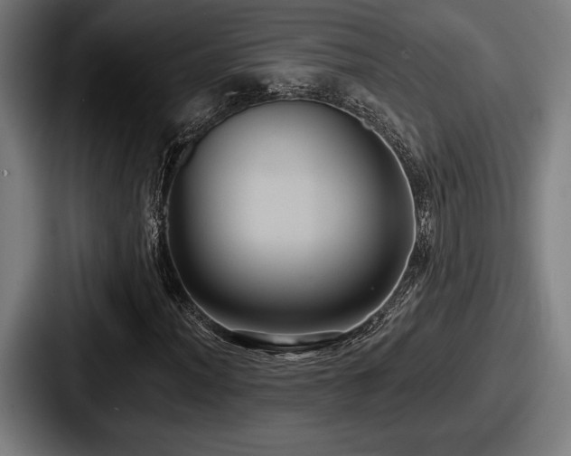 X0000087701012200705111359