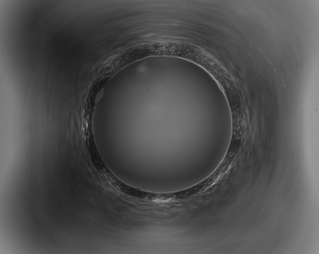 X0000087701013200705111359