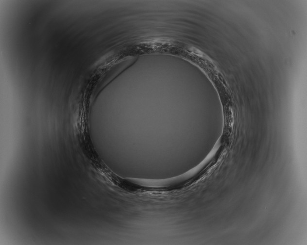 X0000087701014200705111359