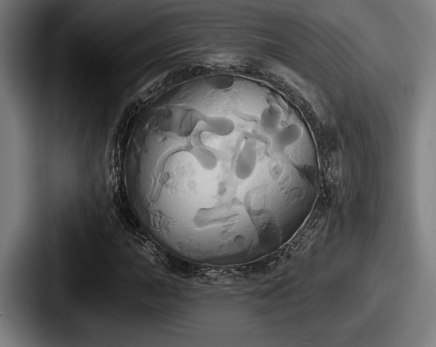 X0000087701015200705111359