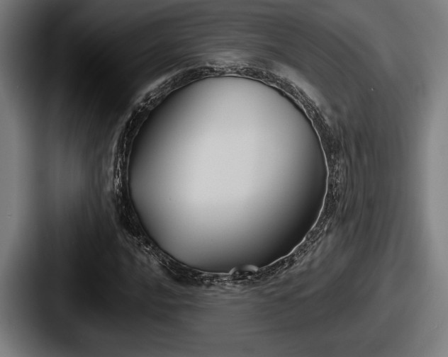 X0000087701016200705111359