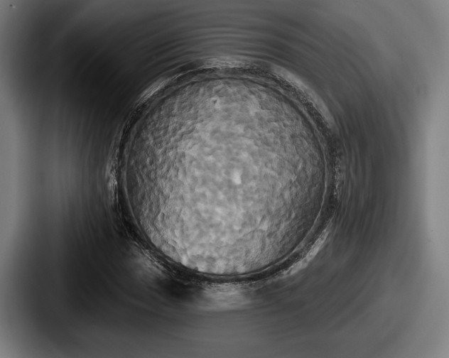 X0000087701017200705111359