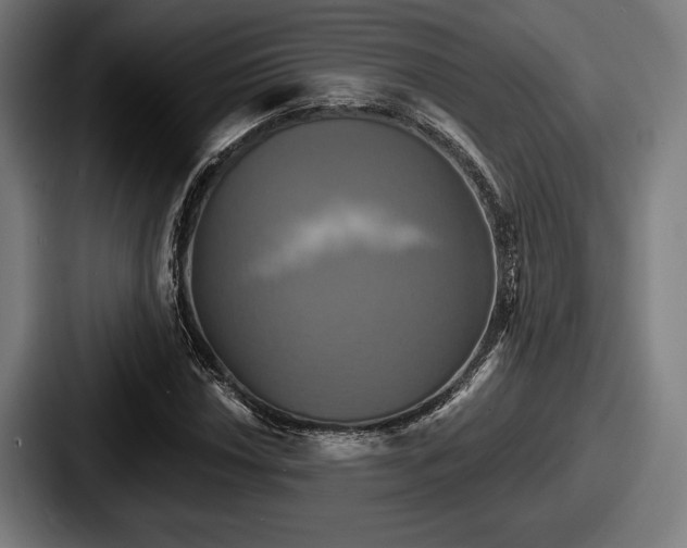 X0000087701018200705111359