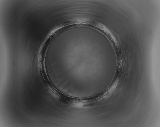 X0000087701019200705111359