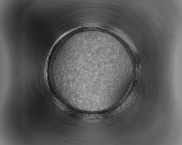 X0000087701020200705111359