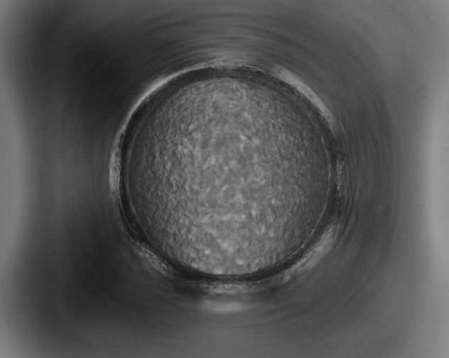 X0000087701021200705111359