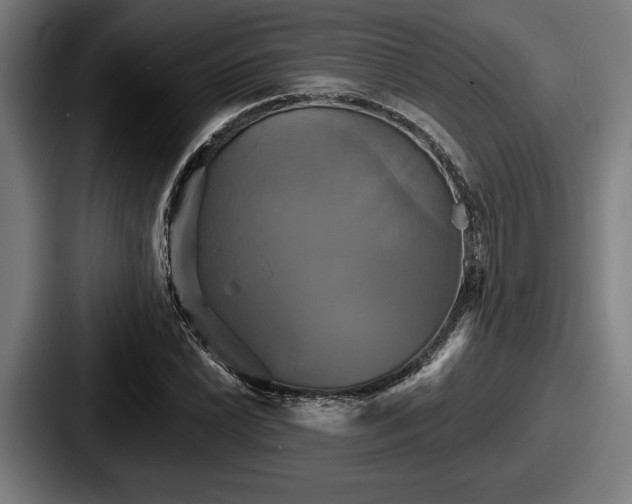 X0000087701022200705111359