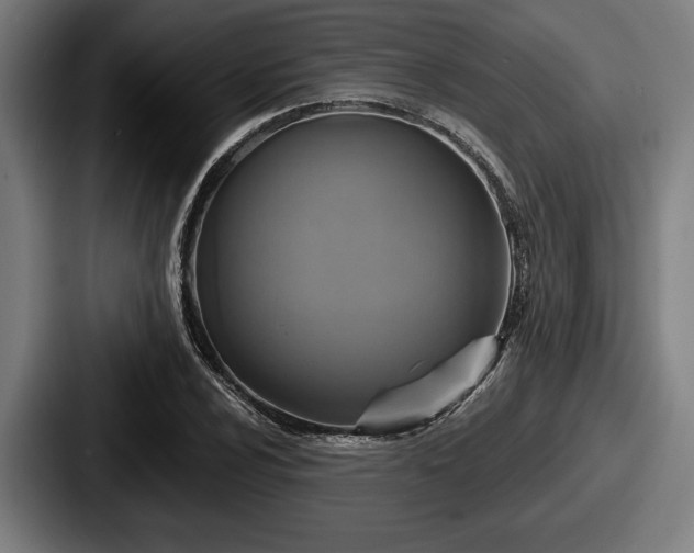 X0000087701024200705111359