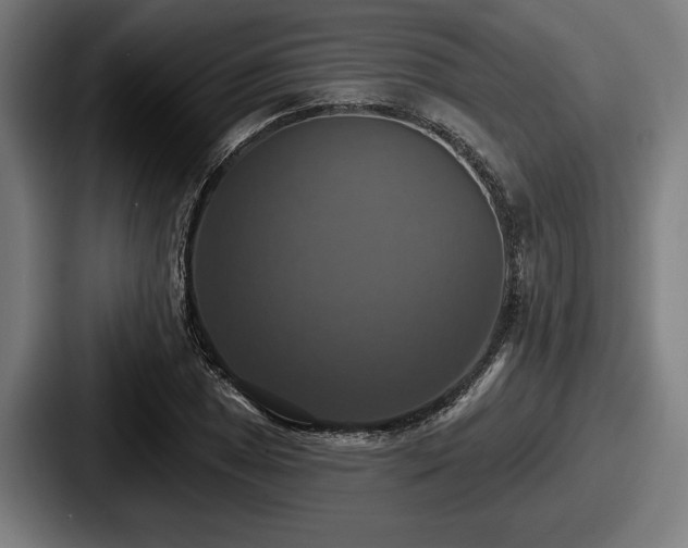 X0000087701025200705111359