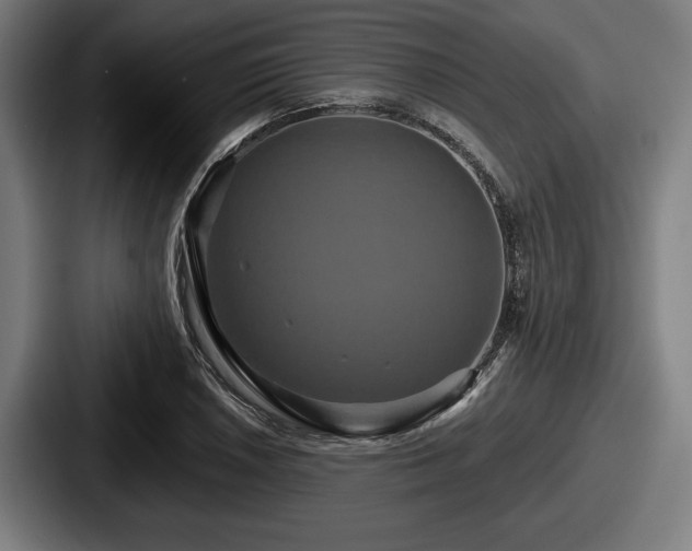 X0000087701026200705111359