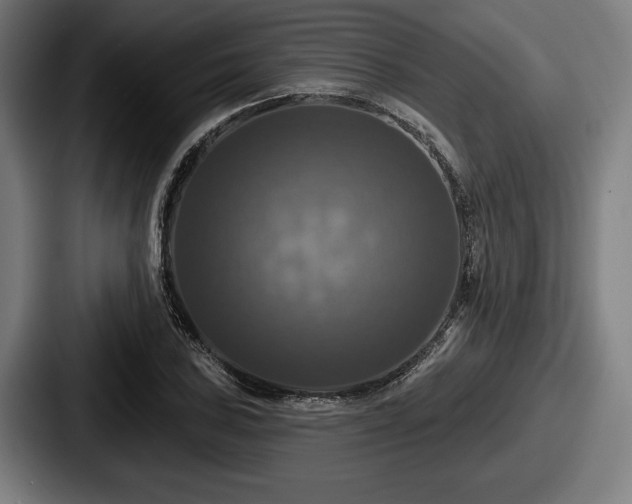 X0000087701027200705111359