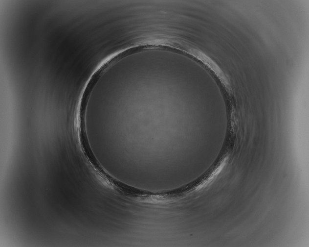 X0000087701028200705111359