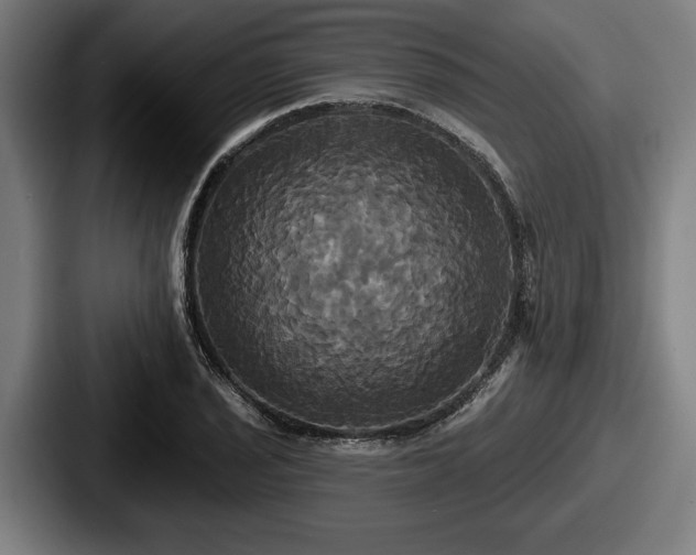 X0000087701029200705111359