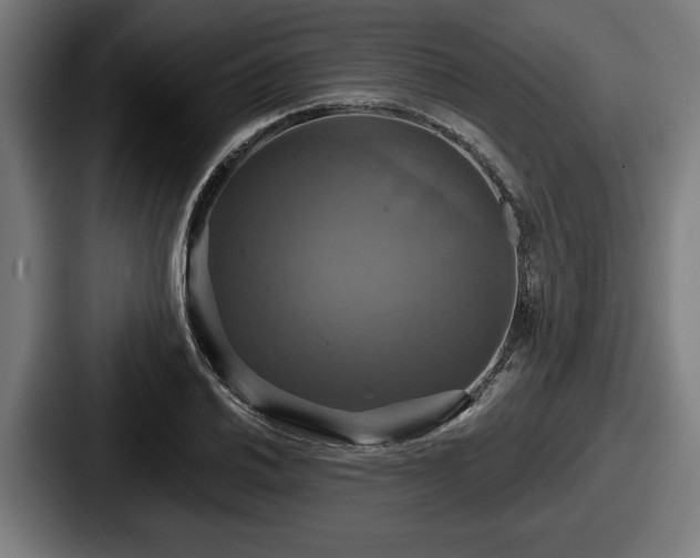 X0000087701030200705111359