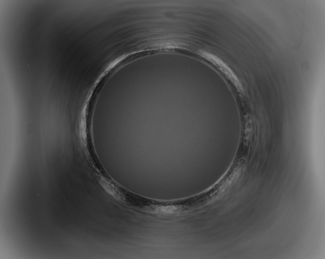 X0000087701031200705111359