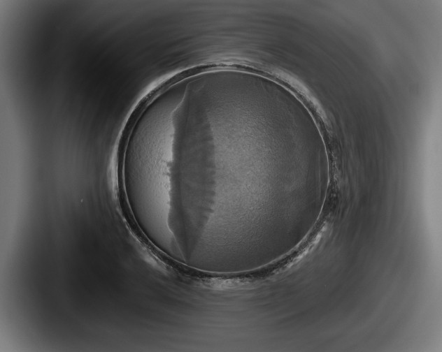 X0000087701032200705111359