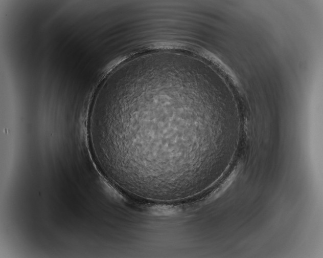 X0000087701033200705111359