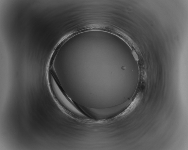 X0000087701034200705111359