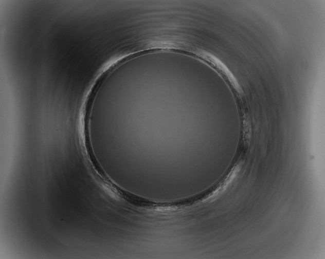 X0000087701035200705111359