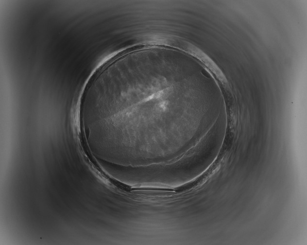 X0000087701036200705111359