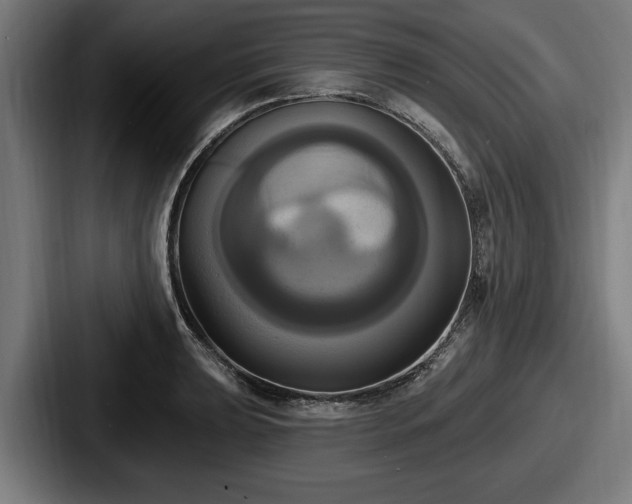 X0000087701039200705111359