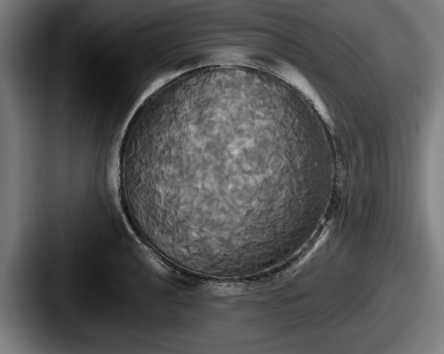 X0000087701040200705111359