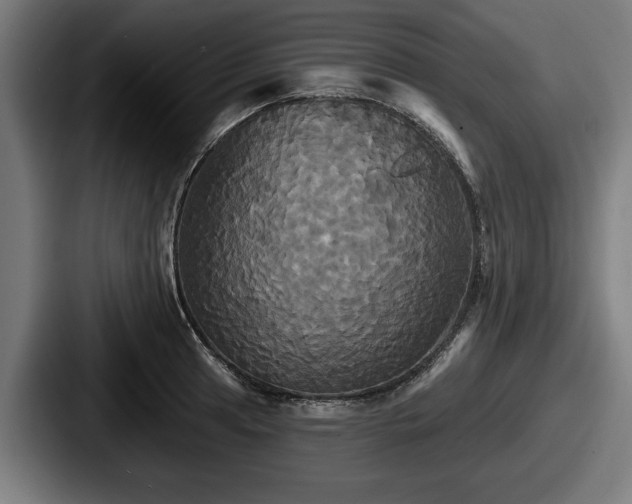 X0000087701041200705111359