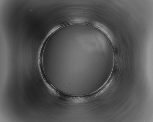 X0000087701042200705111359