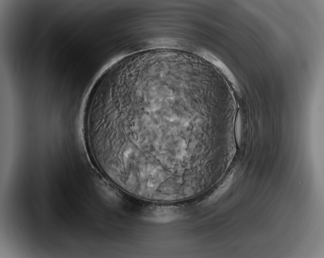 X0000087701043200705111359