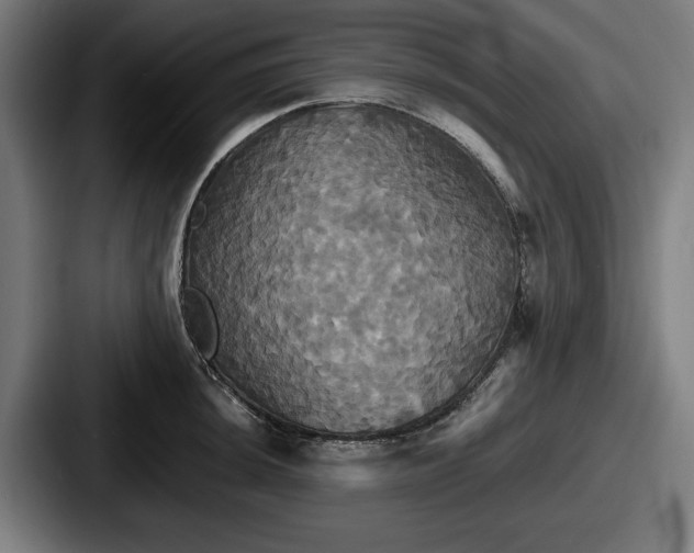 X0000087701044200705111359