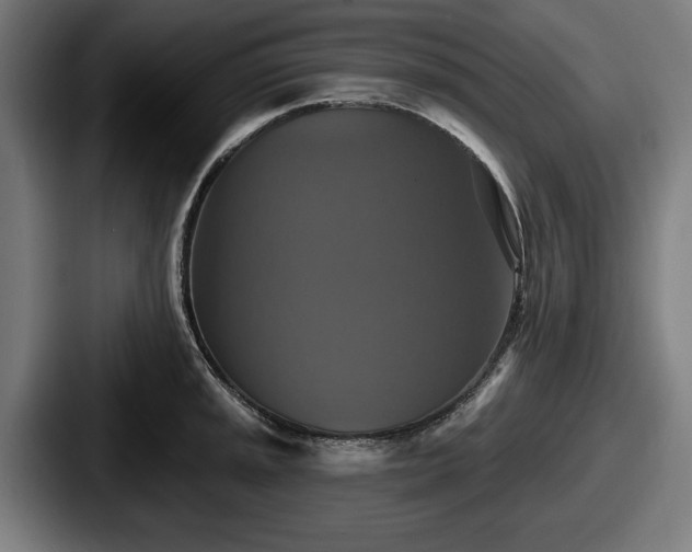 X0000087701045200705111359