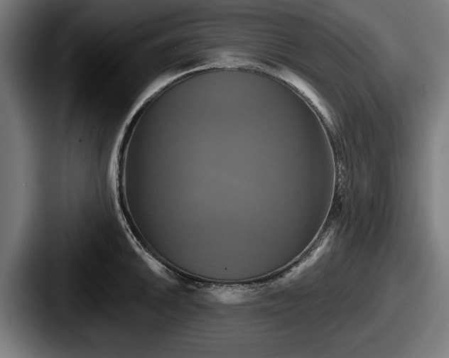 X0000087701046200705111359