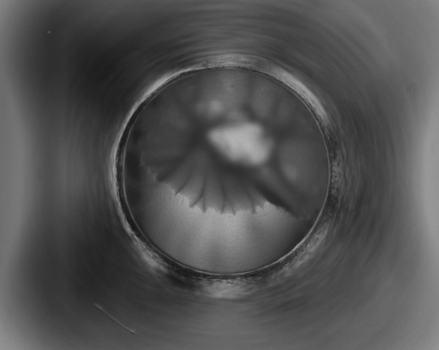 X0000087701047200705111359