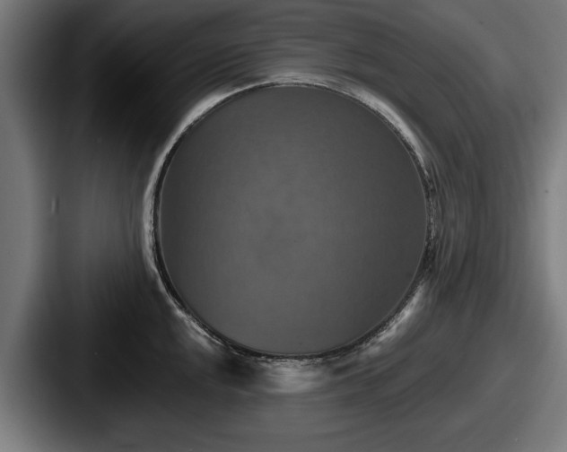 X0000087701048200705111359