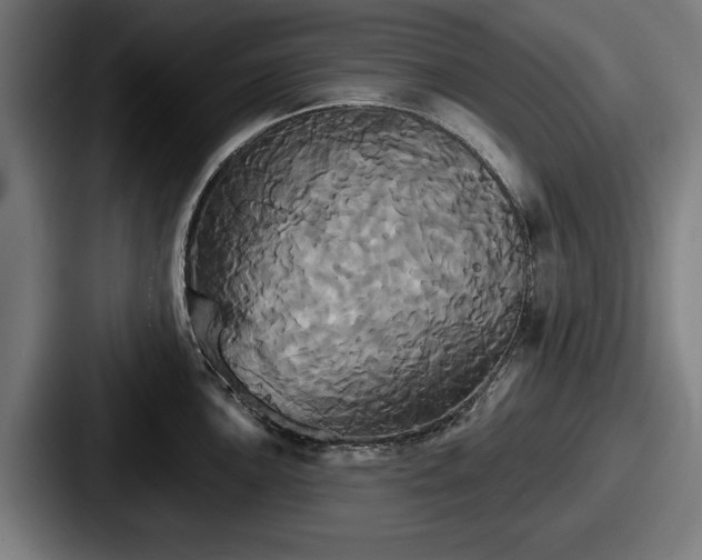 X0000087701051200705111359