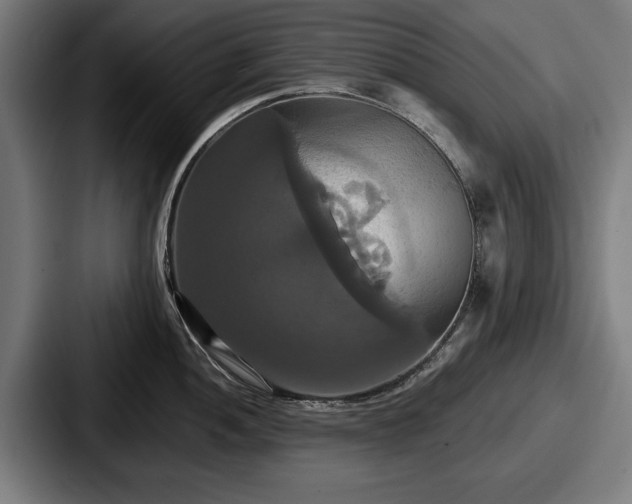 X0000087701052200705111359