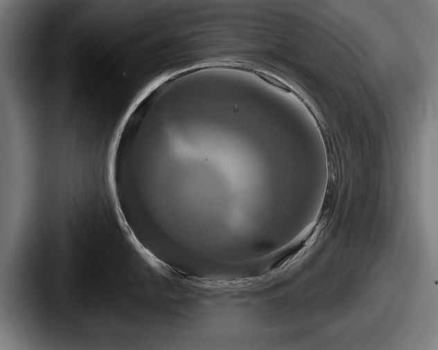 X0000087701054200705111359