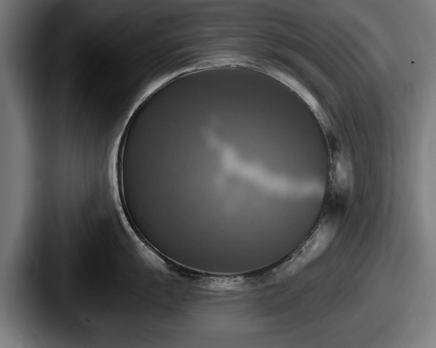 X0000087701055200705111400