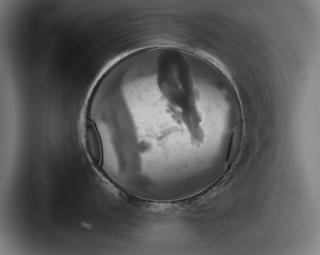 X0000087701056200705111400