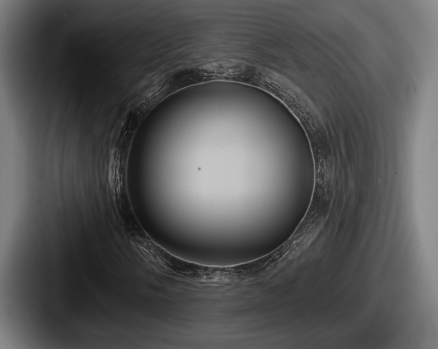 X0000087701058200705111359