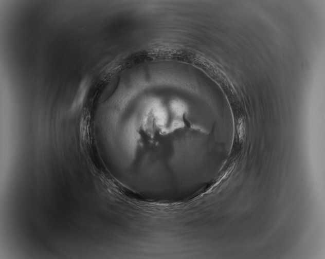 X0000087701059200705111359