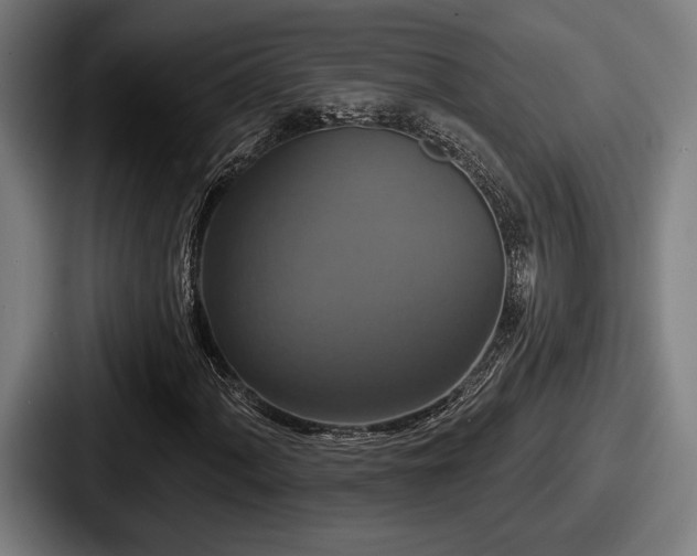 X0000087701060200705111359